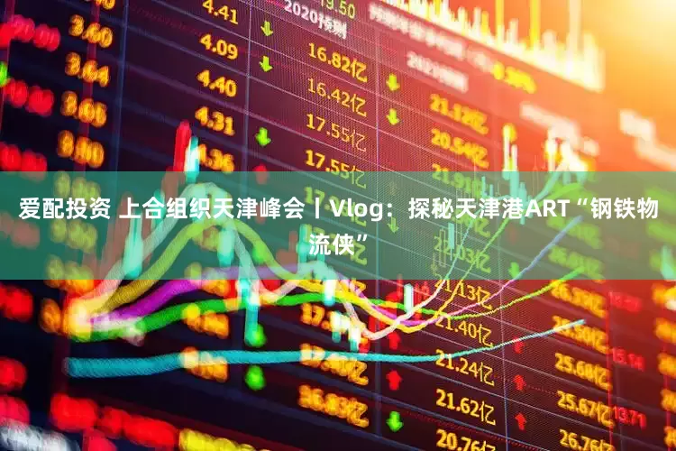 爱配投资 上合组织天津峰会丨Vlog：探秘天津港ART“钢铁物流侠”