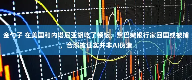 金勺子 在美国和内塔尼亚胡吃了顿饭，黎巴嫩银行家回国或被捕，合照被证实并非AI伪造